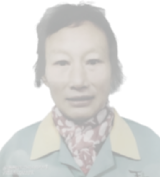 文件:透明虚化的棍母.png