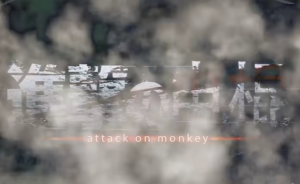 进击の电棍.png