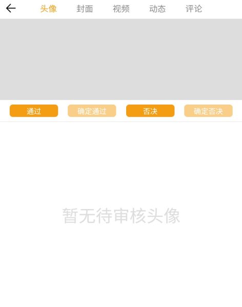 文件:Aduitpage.jpeg