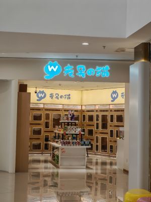 老吴的猫店.jpg