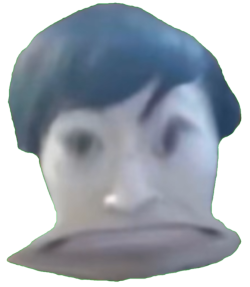 哇袄.png