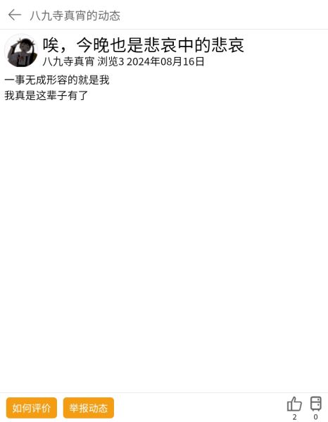 文件:Commentpage blog ver2.jpeg