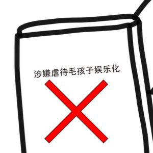 毛孩子守护计划.jpg