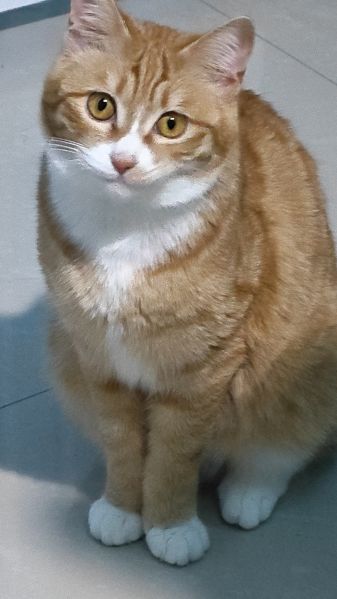 文件:显卡18.jpg